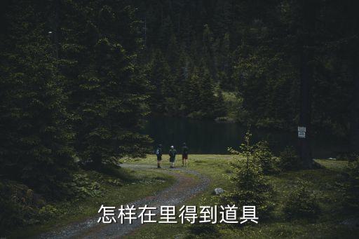 怎样在里得到道具