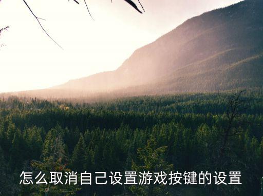 怎么取消自己设置游戏按键的设置