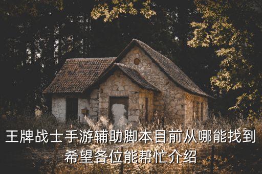 王牌战争手游怎么开辅助，有人知道王牌战士手游辅助脚本没