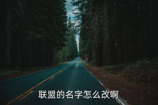 手游联盟怎么免费改名，联盟的名字怎么改啊