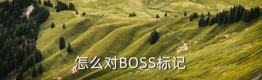 天刀手游boss怎么标记，天涯明月刀怎么标注boss血量