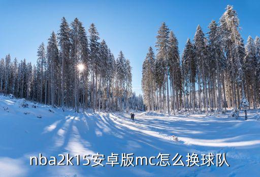 安卓手游2k22怎么换队，组队游戏中怎么换队伍