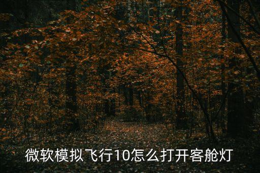 微软模拟飞行10怎么打开客舱灯