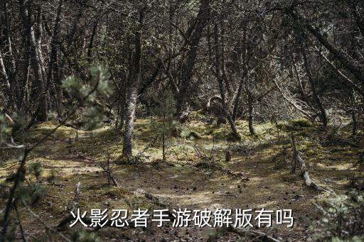 火影忍者手游魔方怎么下载，怎样下载火影忍者的游戏