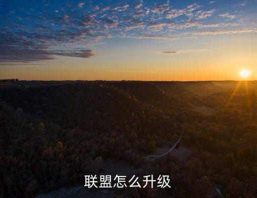 联盟怎么升级