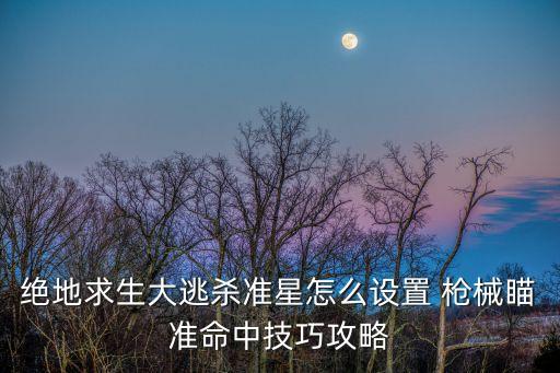 绝地求生大逃杀准星怎么设置 枪械瞄准命中技巧攻略