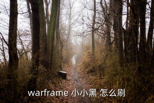 warframe 小小黑 怎么刷