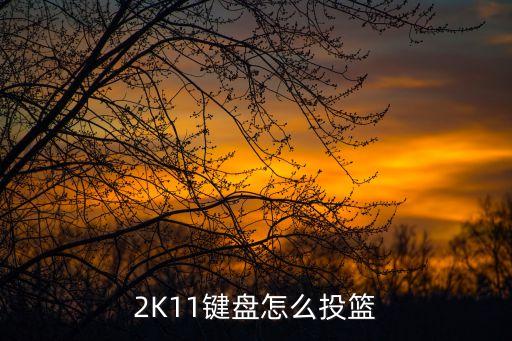 nba2k11手游怎么投篮，NBA2K11投篮怎样准确