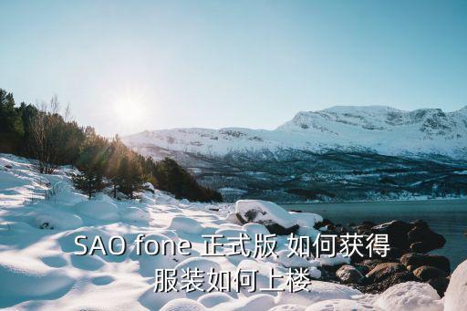 SAO fone 正式版 如何获得服装如何上楼