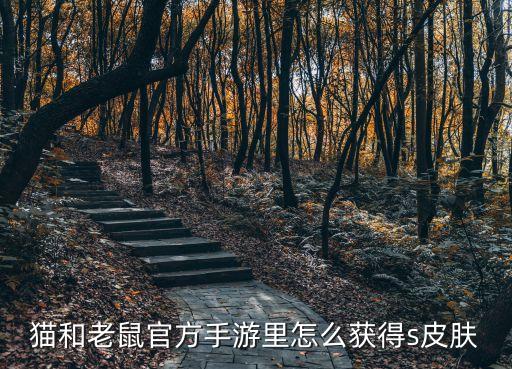 怎么获得猫和老鼠手游里的s皮肤，怎样容易开得永久SABC或者装扮