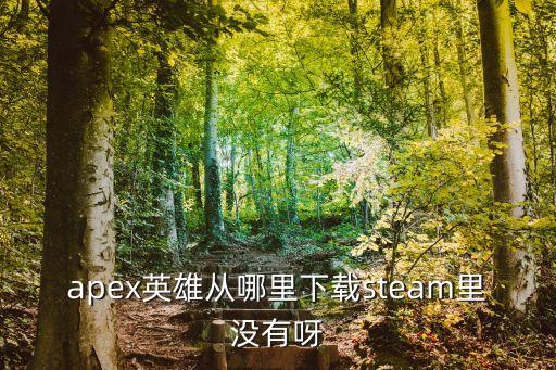 apex手游第三人称怎么下载，第三人称射击游戏