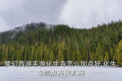 梦幻西游手游化生寺怎么加点好 化生寺加点方案汇总