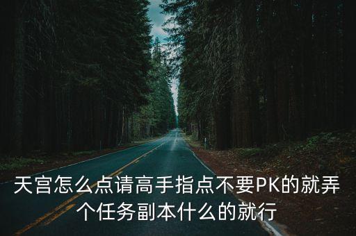 天宫怎么点请高手指点不要PK的就弄个任务副本什么的就行