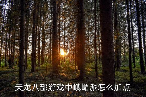 天龙八部游戏中峨嵋派怎么加点