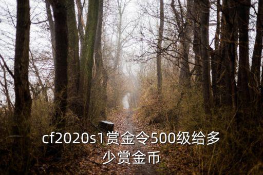 cf2020s1赏金令500级给多少赏金币