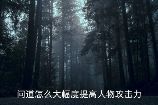 问道怎么大幅度提高人物攻击力