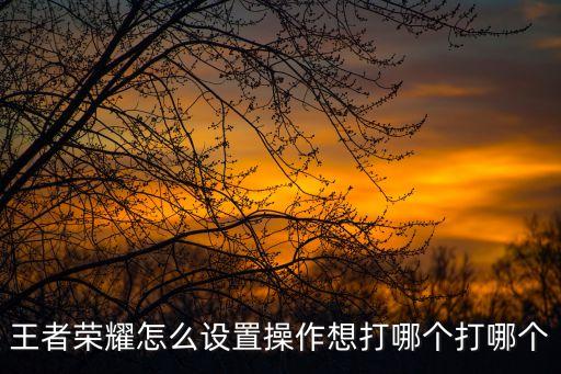 王者荣耀怎么设置操作想打哪个打哪个