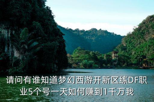 请问有谁知道梦幻西游开新区练DF职业5个号一天如何赚到1千万我