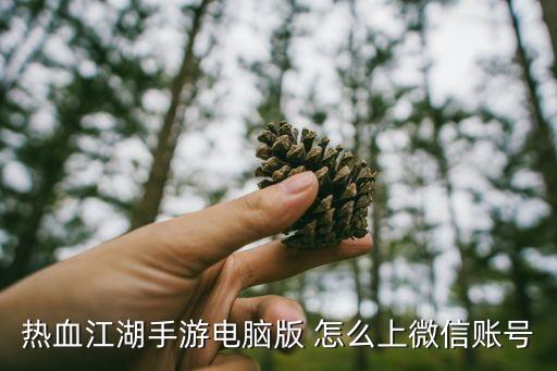 热血江湖手游电脑版 怎么上微信账号