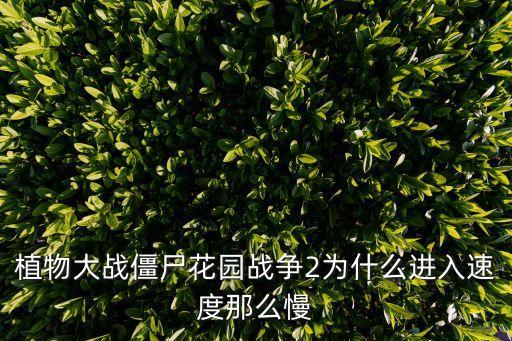 植物大战僵尸花园战争2为什么进入速度那么慢