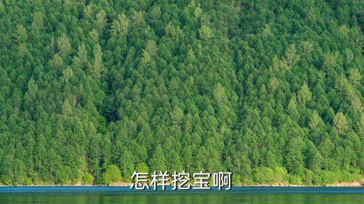 怎样挖宝啊