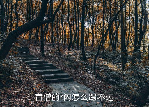 盲僧的r闪怎么踢不远