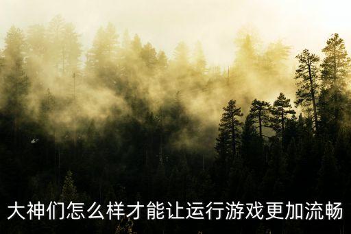 大神们怎么样才能让运行游戏更加流畅