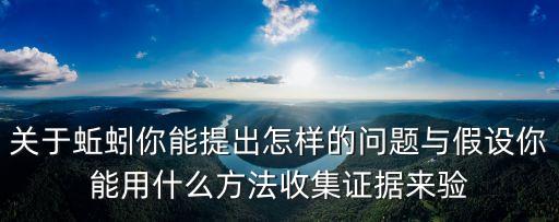 问道手游怎么收集蚯蚓，怎样才能挖到蚯蚓