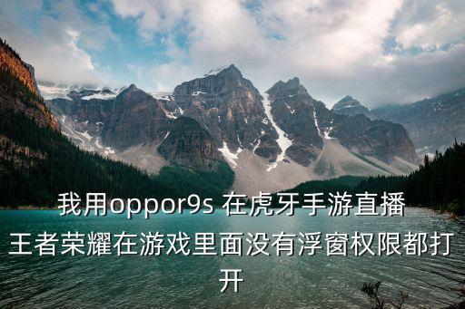 我用oppor9s 在虎牙手游直播王者荣耀在游戏里面没有浮窗权限都打开