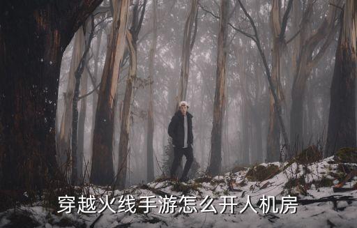 穿越火线手游备用方案怎么开，穿越火线手游这么开外挂