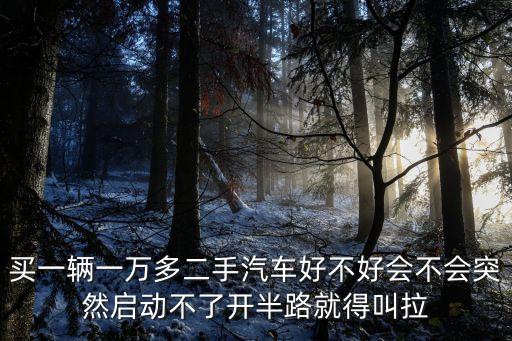 买一辆一万多二手汽车好不好会不会突然启动不了开半路就得叫拉