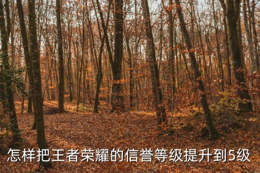 怎样把王者荣耀的信誉等级提升到5级