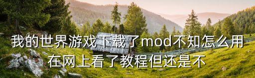 我的世界游戏下载了mod不知怎么用在网上看了教程但还是不