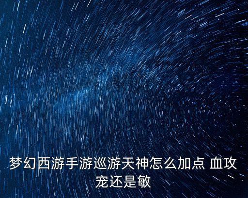 梦幻西游手游巡游天神怎么加点 血攻宠还是敏