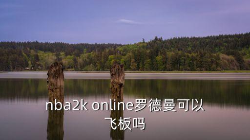 nba2k online罗德曼可以飞板吗