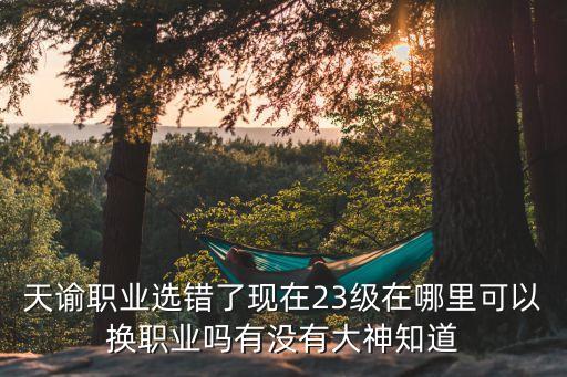 天谕职业选错了现在23级在哪里可以换职业吗有没有大神知道