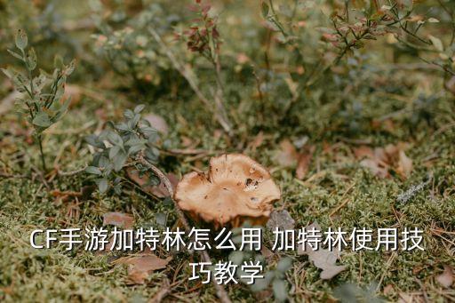 CF手游加特林怎么用 加特林使用技巧教学