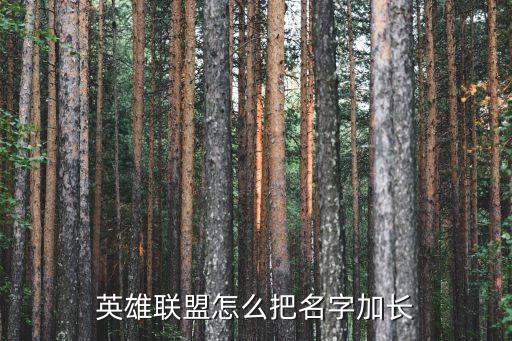 英雄联盟怎么把名字加长