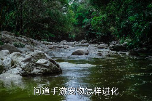 问道手游霸王龙宝宝怎么升级，问道手游宠物快速升级攻略 如何快速提升