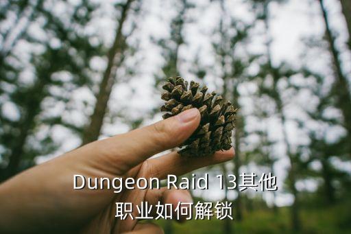 Dungeon Raid 13其他职业如何解锁