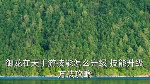 御龙在天手游技能怎么升级 技能升级方法攻略