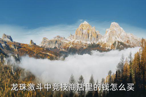 龙珠激斗中竞技商店里的钱怎么买