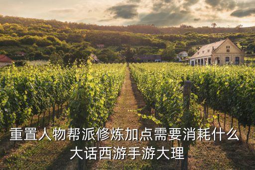 重置人物帮派修炼加点需要消耗什么 大话西游手游大理