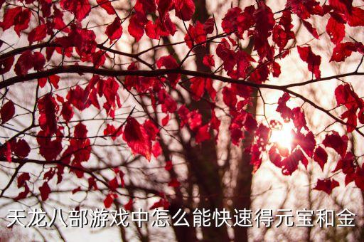 天龙八部游戏中怎么能快速得元宝和金