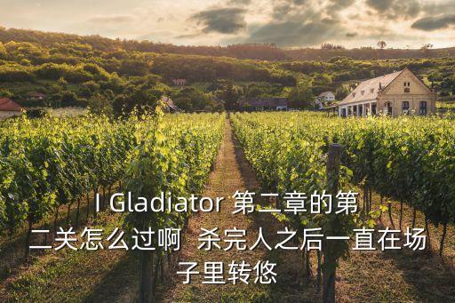 I Gladiator 第二章的第二关怎么过啊  杀完人之后一直在场子里转悠
