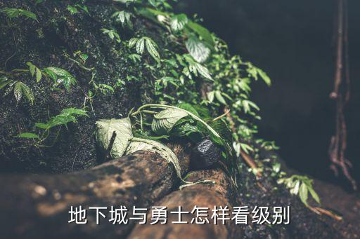 地下城与勇士怎样看级别