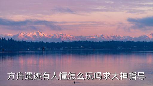 方舟遗迹有人懂怎么玩吗求大神指导