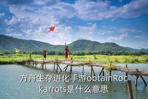 方舟生存进化手游obtainRockarrots是什么意思