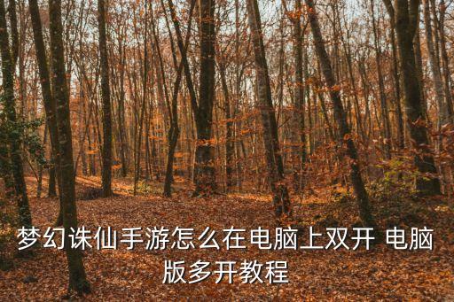 梦幻诛仙手游怎么在电脑上双开 电脑版多开教程