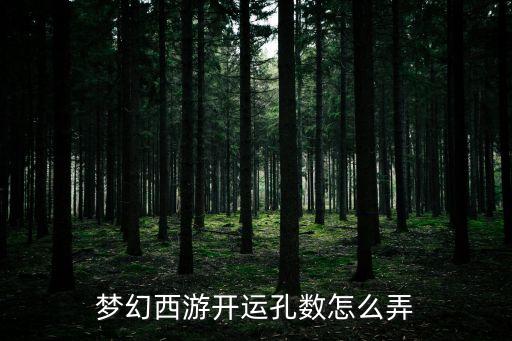 梦幻手游新地宫塞子数怎么来的，梦幻西游手游秘境线路1和2怎么来的